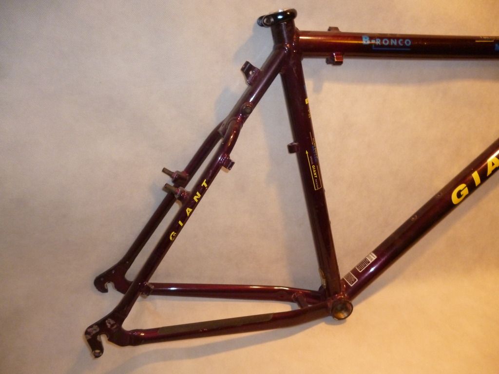 giant frame price